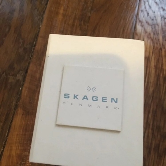 Womens Skagen Silver Anita Crystal Index Watch - Picture 5 of 5